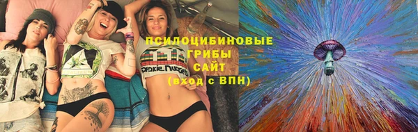 прущие крисы Балахна